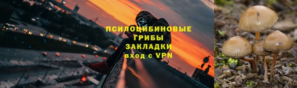 PSILOCYBIN Алзамай