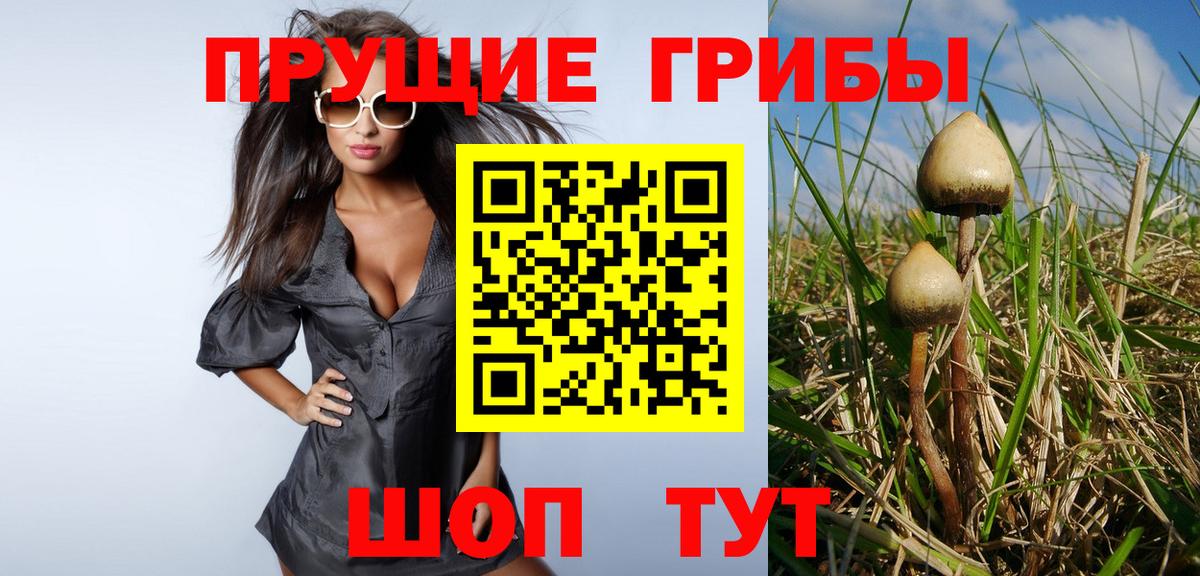 Псилоцибиновые грибы прущие грибы Татарск